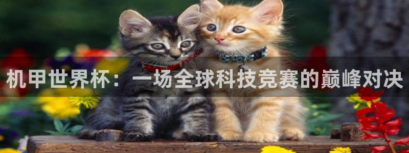 世界杯系列赛：机甲世界杯：一场全球科技竞赛的巅峰对决