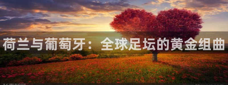 2026世界杯欧洲预选赛赛程表：荷兰与葡萄牙：全球足坛的黄金组曲