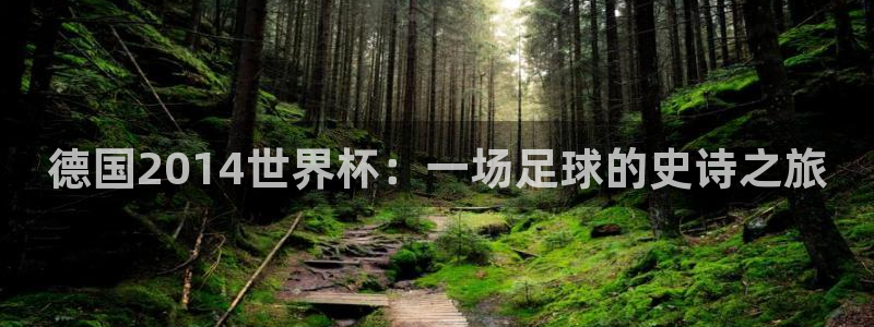 2006年世界杯冠军：德国2014世界杯：一场足球的史诗之旅
