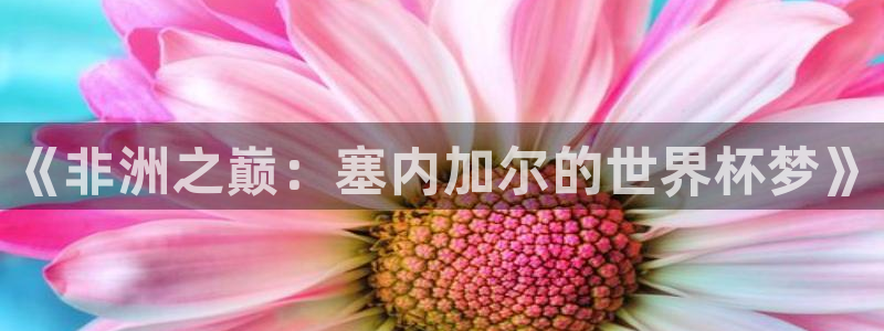 世预赛直播：《非洲之巅：塞内加尔的世界杯梦》