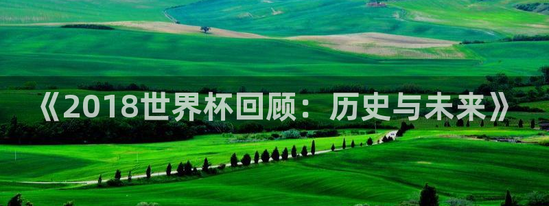 2026世界杯预选赛：《2018世界杯回顾：历史与未来》