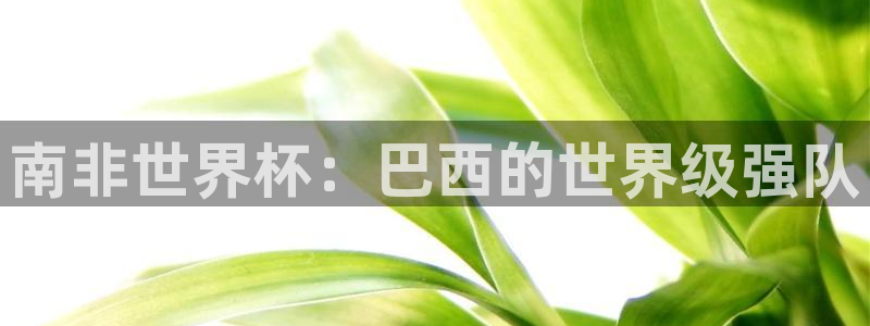 免费看足球直播比赛：南非世界杯：巴西的世界级强队