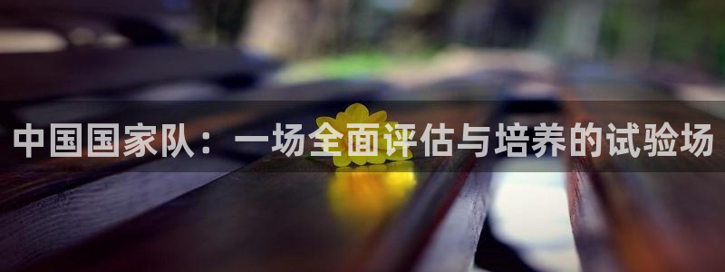 2026年男足世界杯：中国国家队：一场全面评估与培养的试验场