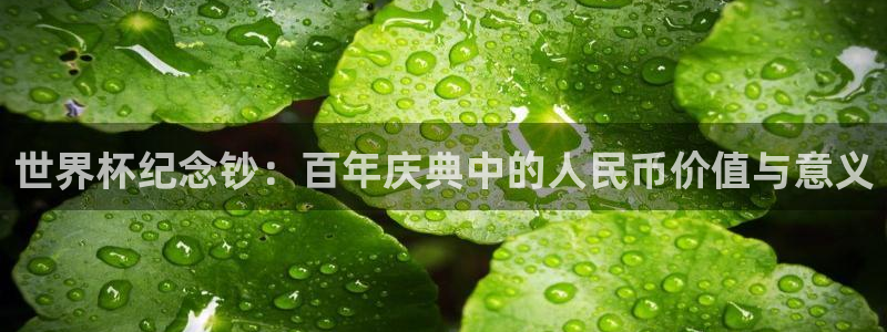 预选赛世界杯：世界杯纪念钞：百年庆典中的人民币价值与意义