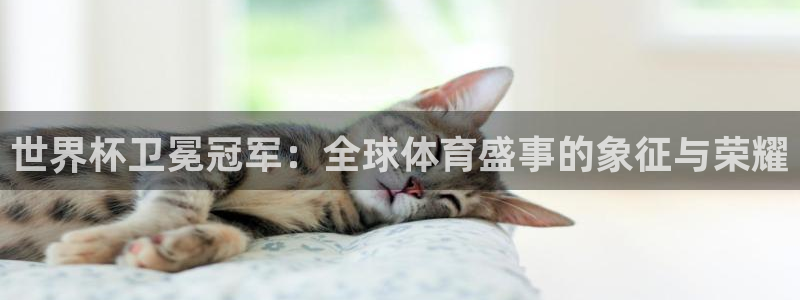 世界杯2026预选赛：世界杯卫冕冠军：全球体育盛事的象征与荣耀