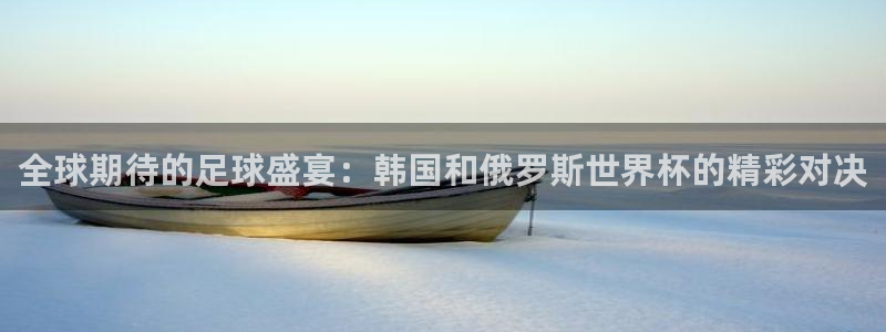 2026世界杯：全球期待的足球盛宴：韩国和俄罗斯世界杯的精彩对决