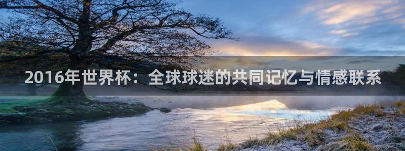世界杯欧洲区赛程：2016年世界杯：全球球迷的共同记忆与情感联系