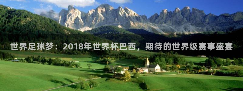 2006年世界杯冠军：世界足球梦：2018年世界杯巴西，期待的世界级赛事盛宴